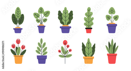 Collection of stylized potted plants in various shapes and forms on white