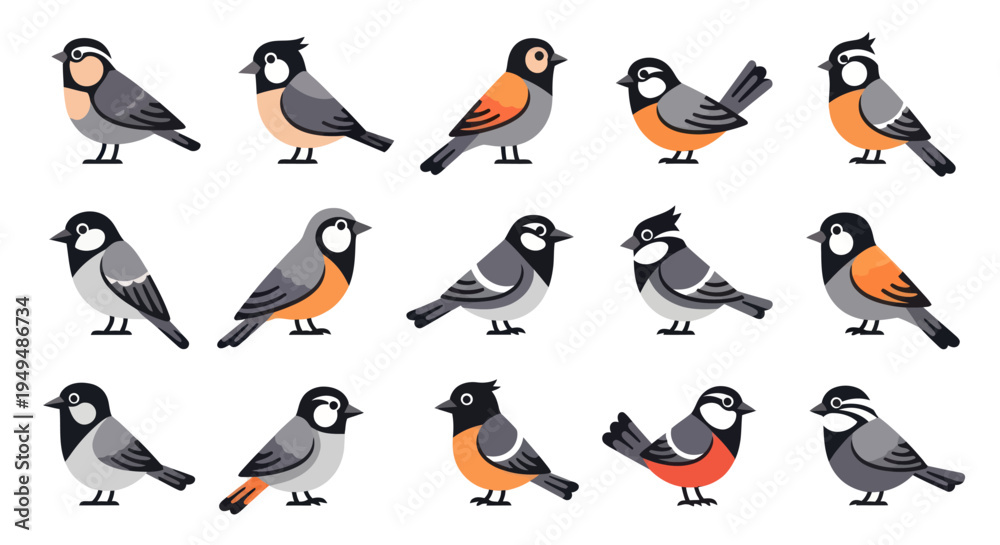 Naklejka premium Colorful bird collection in vector style perfect for educational and design projects