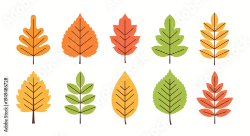 Colorful autumn leaves collection vector illustrations for seasonal designs