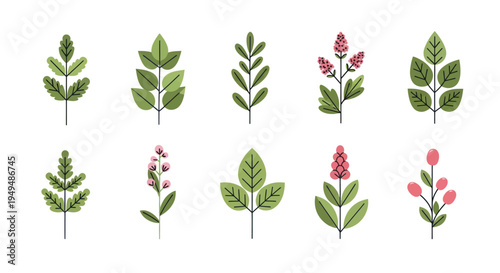 Colorful bird illustrations collection on white background for design projects