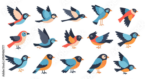Colorful birds in flight collection vector illustrations for design and decor