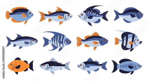 Colorful cartoon fish collection isolated on white background for design
