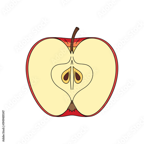 Cross-section of a red apple showing its core and seeds.