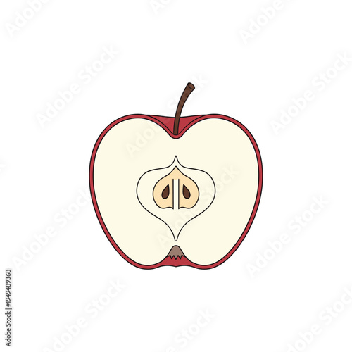 A detailed cross-section illustration of a red apple, revealing its core, seeds, and internal structure.