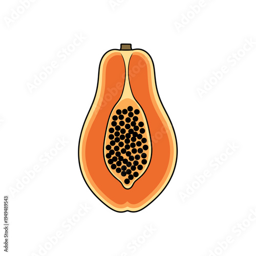 A detailed illustration of a ripe papaya fruit cut in half, revealing its vibrant orange flesh and numerous black seeds.