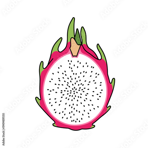 A vibrant illustration of a halved dragon fruit, showcasing its white flesh speckled with tiny black seeds and its distinctive pink and green rind.