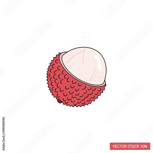 A detailed illustration of a single lychee fruit, cut in half to reveal its white flesh and seed, against a white background.