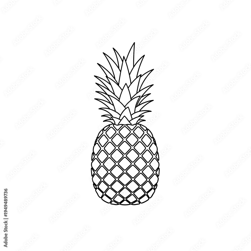 Obraz premium A simple black and white outline drawing of a whole pineapple fruit with its spiky crown of leaves.