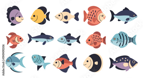 Colorful fish collection vector illustration of various aquatic creatures