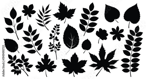 Black silhouettes of various leaves and foliage scattered on a white background