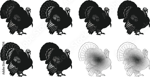 Turkey silhouette and engraving style set. Vintage Thanksgiving turkey illustrations with detailed feathers. Black bird silhouettes and hand drawn sketch vector collection.