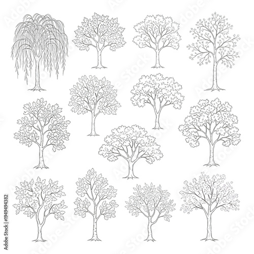 Refined Botanical Line Art and Tree Contour Sketches, Hand Drawn Deciduous Tree Outlines with Delicate Foliage Details and Elegant Branch Structures Vector Set