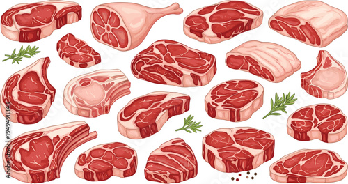Raw meat cuts collection vector. Beef steaks, pork chops, lamb leg and rib cuts with herbs. Butcher meat assortment illustration set.