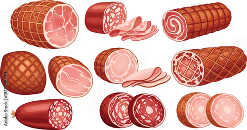 Deli ham and salami meat set vector. Sliced ham, salami sausage and rolled pork cuts. Butcher charcuterie meat products illustration collection.