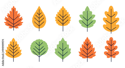 Colorful vector leaves collection autumnal and seasonal design elements