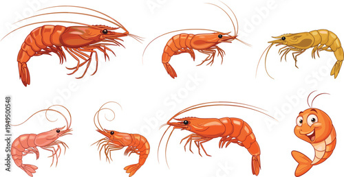 Shrimp and prawn vector set. Realistic and cartoon shrimp characters in different poses. Seafood crustacean illustration collection.