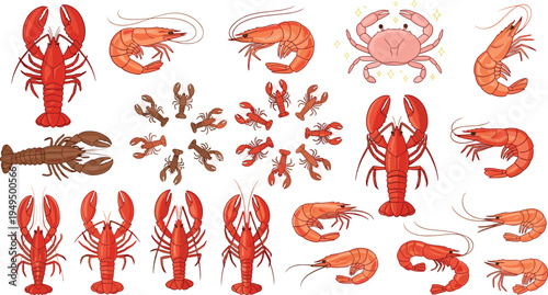 Seafood crustacean vector collection. Lobster, shrimp and crab illustrations in various poses and styles. Marine seafood animals set.