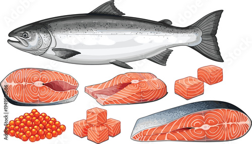 Salmon seafood vector collection. Whole salmon fish, fillet steaks, cubes and red caviar. Fresh seafood ingredients illustration set.