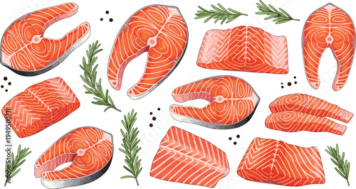 Salmon fillet and steak vector set. Raw salmon cuts with rosemary herbs and pepper. Fresh seafood ingredient illustration collection.