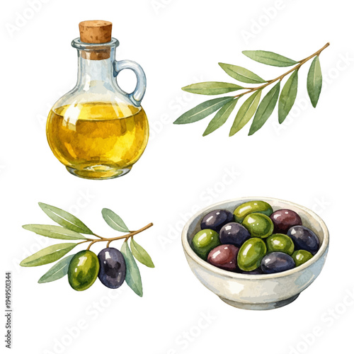 A watercolor vector set of olives, olive branches, and olive oil bottle for mediterranean food illustrations, cooking designs, and olive harvest themes.