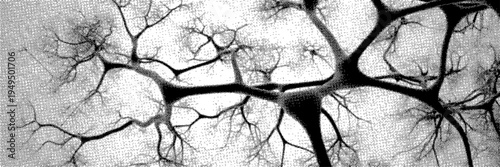 Abstract neuron network texture organic brain cells structure black and white background