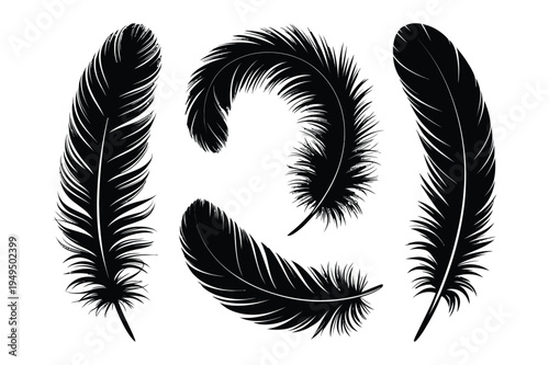 Feather icons, plume silhouettes, black and white art