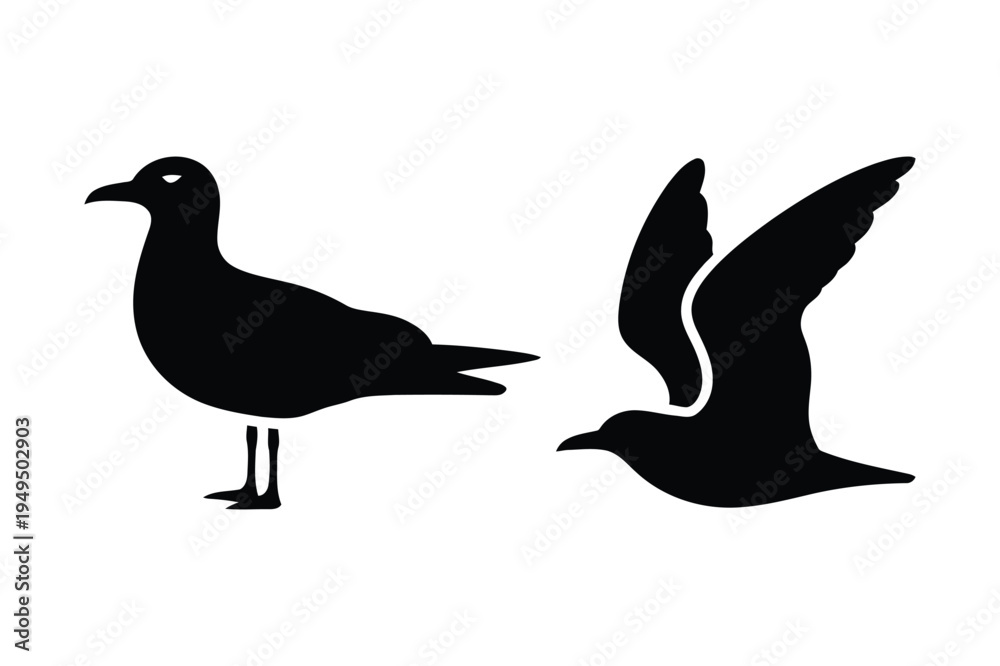 Obraz premium Seagull standing and flying silhouette illustration