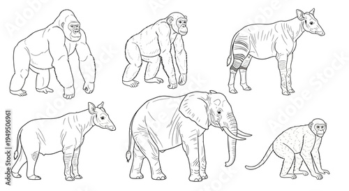 Collection of outline sketches showing various mammals including bears, an elephant, a dog, and a horse in single or grouped poses.