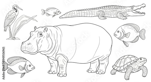 Sketch Collection of Hippo and Diverse Freshwater Animals with Reptiles Birds and Fish.