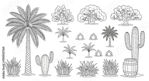 Collection of diverse hand-drawn cacti and succulent plants in grayscale.