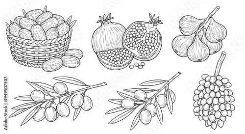 Sketches of assorted fruits and vegetables in a basket and branches.
