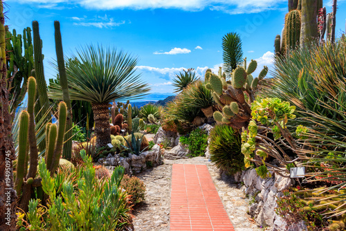 Walkway in exotic botanical garden in Eze village, French Riviera coast, France