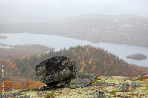 Obraz na płótnie Unusual boulders covered with mosses and lichens, found in the polar tundra