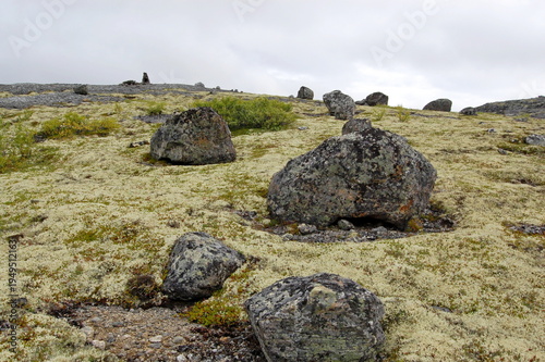 Obraz na plátně Unusual boulders covered with mosses and lichens, found in the polar tundra