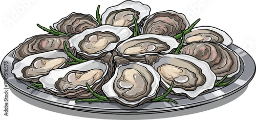 Fresh Oysters on a Platter with Garnish.