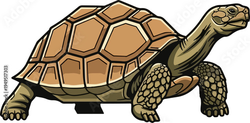 Detailed illustration of a desert tortoise walking slowly 1.