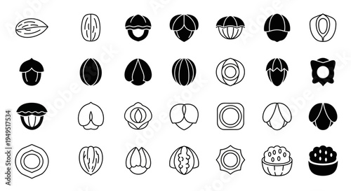 Assortment of Nut Icons: Almond, Pecan, Walnut, Hazelnut, Cashew, Pistachio, Peanut, Acorn, Macadamia, Chestnut, Brazil Nut, Pine Nut, Coconut