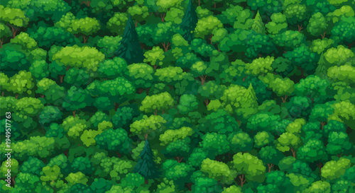 Lush green forest canopy from above showcasing natural beauty.