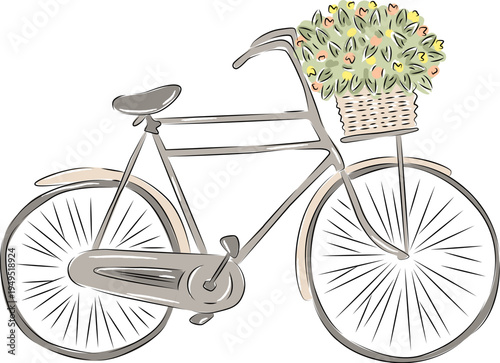 Bicycle With Flower Basket Sketch