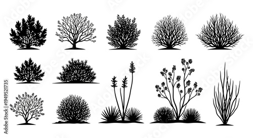 Set of Black and White Silhouettes of Various Plants and Bushes for Garden Design