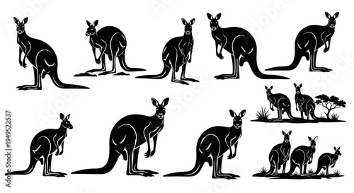 Silhouette Kangaroos Collection: Various Poses and Groupings