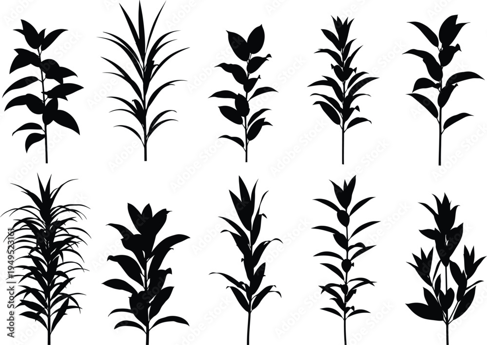 Obraz premium Collection of various plant silhouettes on white background