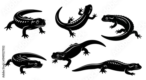 Set of Black Salamander Silhouettes on White Background, Vector Illustration