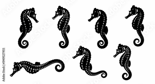 Set of Black Seahorse Silhouettes on White Background - Marine Life Illustration
