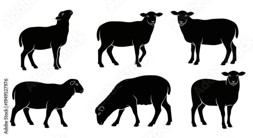 Set of Black Sheep Silhouettes: Diverse Poses on White Background