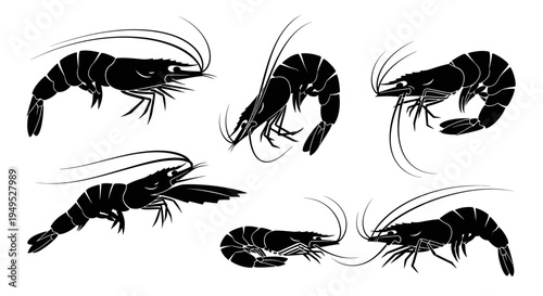 Set of black shrimp silhouettes on white background, isolated vector illustrations