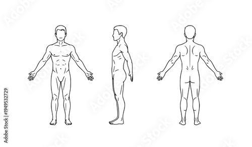 Human male body outline front side and back view standing anatomy diagram vector set