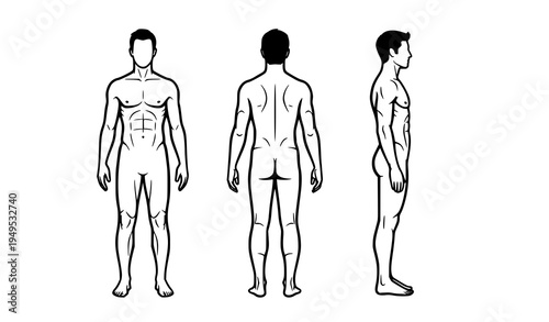Male body silhouette diagram front back side views standing human anatomy vector