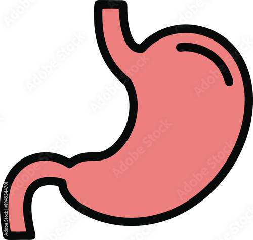human stomach anatomy flat style. A simple, flat design illustration of the human stomach, useful for educational materials, medical websites, and health-related marketing.
