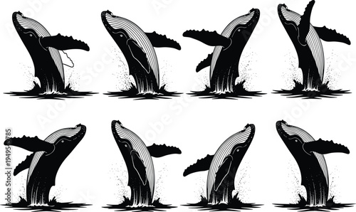 Black silhouette illustration of humpback whale breaching water, ocean wildlife artwork, marine animal design, aquatic nature scene, sea life art